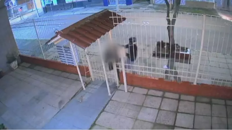 Jovem é brutalmente agredido ao tentar voltar para casa durante assalto em Porto Alegre