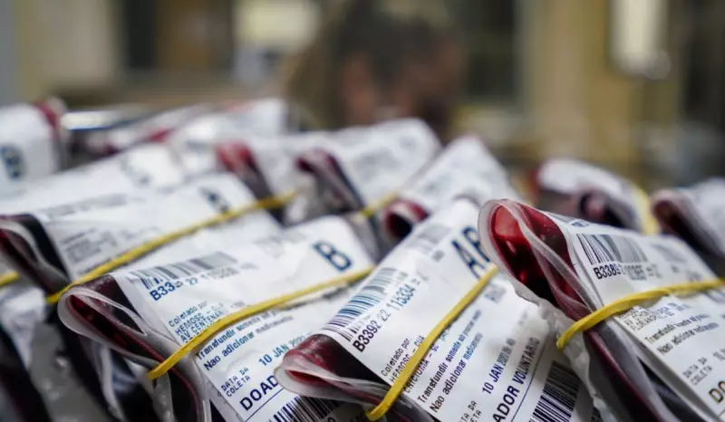 Junho Vermelho em Itajaí: Campanha incentiva doação de sangue e salva vidas