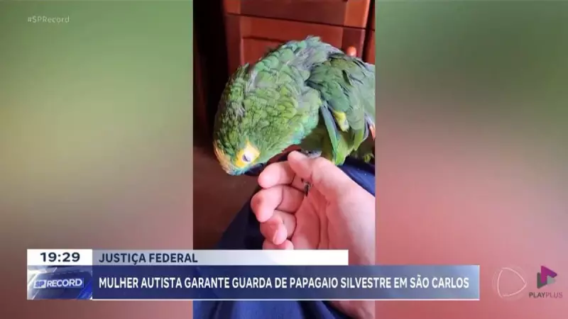 Justiça concede guarda de papagaio a mulher autista em São Carlos, SP