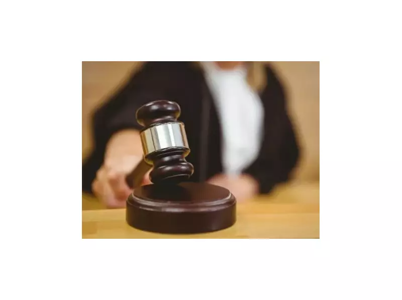 Justiça condena cinco por desmatamento e invasão de terras públicas no Pará