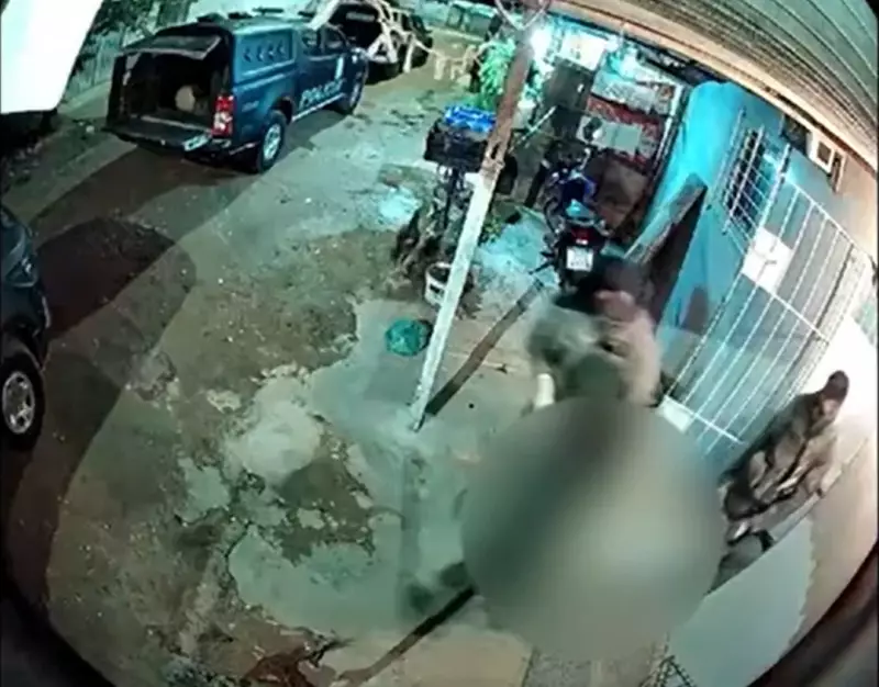 Justiça determina soltura de PMs acusados de invasão e homicídio em comunidade de Pernambuco