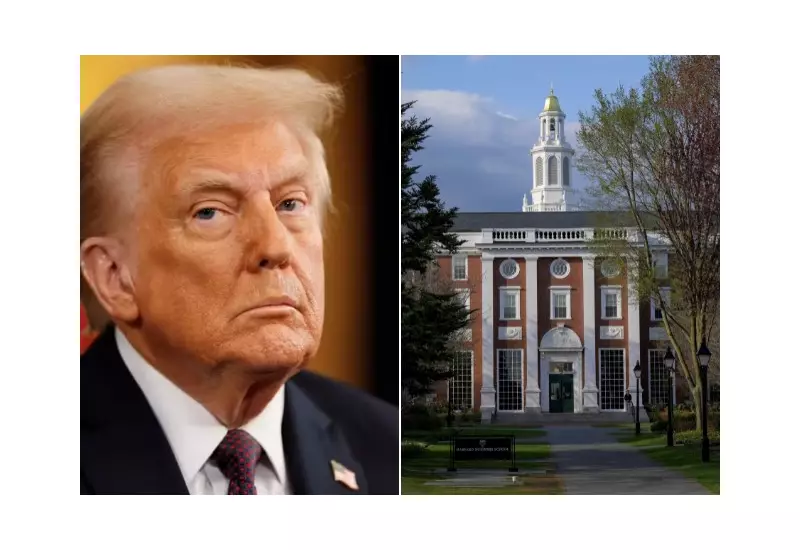 Justiça dos EUA ordena que Trump entregue documentos à Harvard: entenda o caso
