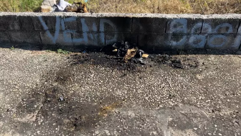 Justiça mantém prisão de suspeito por assassinato brutal de morador de rua em São José dos Campos
