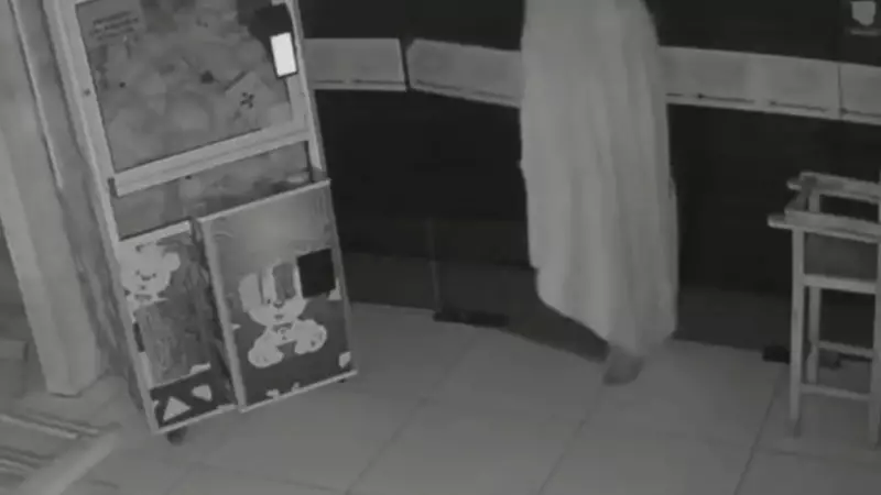 Ladrão 'fantasma' é flagrado por câmeras invadindo loja de açaí coberto por lençol no Ceará
