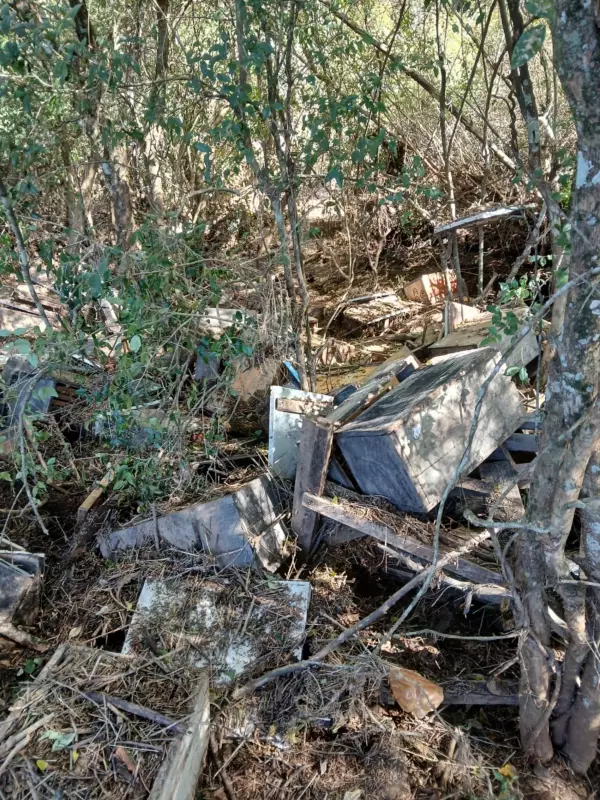 Lavouras embaixo d'água no RS: agricultores relatam destruição e perdas irreparáveis