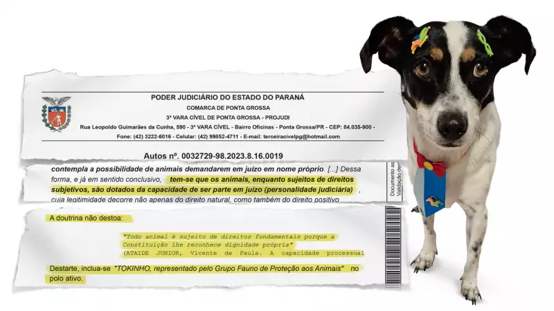 Lei do Cão Vira-Lata: Vitória Histórica para os Direitos dos Animais no Brasil
