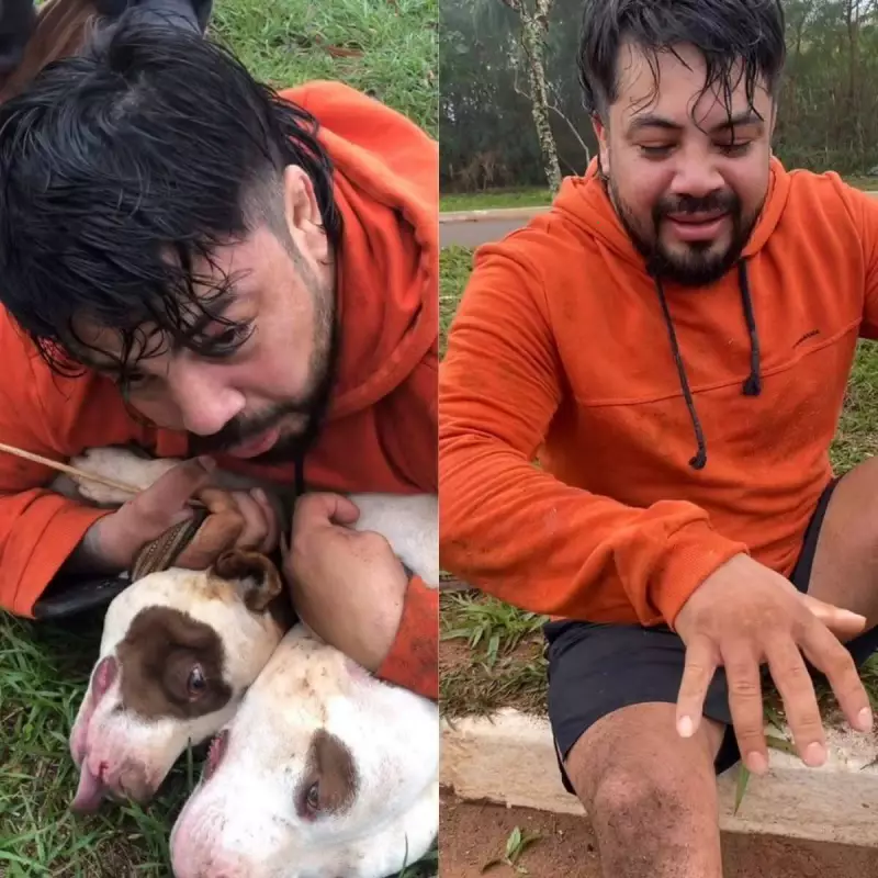 Lutador de Muay Thai é atacado por dois pitbulls durante corrida em Mato Grosso do Sul