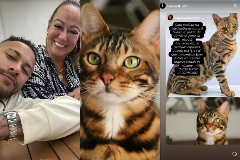 Mãe de Neymar Jr. pede ajuda nas redes para encontrar gata desaparecida no litoral de SP