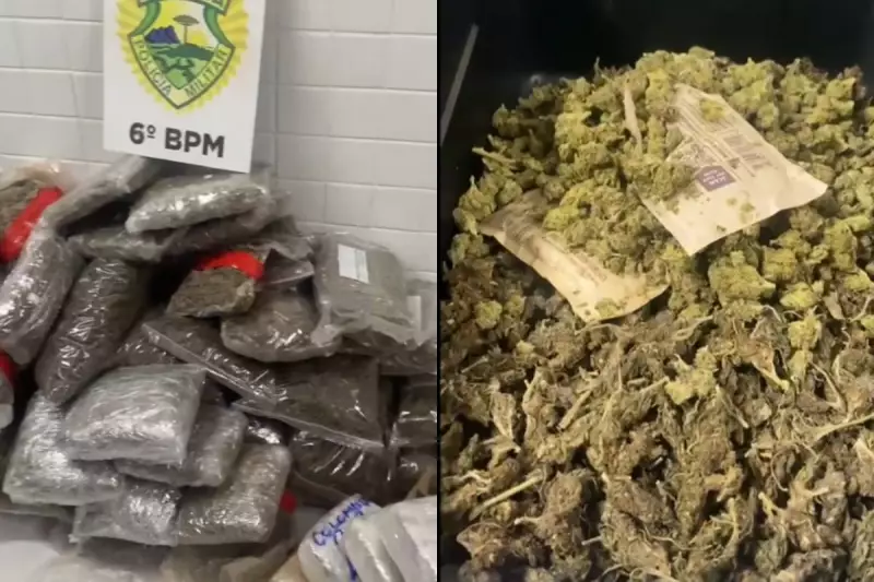 Mãe e filho presos no Paraná: esquema de delivery de drogas desmantelado pela polícia