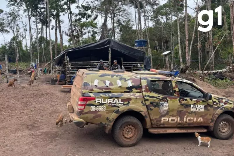 Mãe é presa por trabalho infantil após crianças serem flagradas usando motosserras em MT