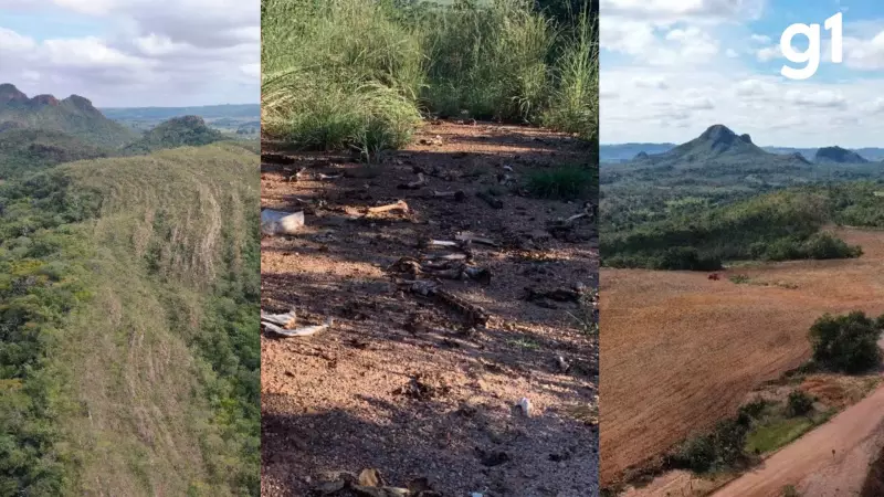 Maior cratera da América do Sul por meteoro é tesouro geológico abandonado, revelam pesquisadores
