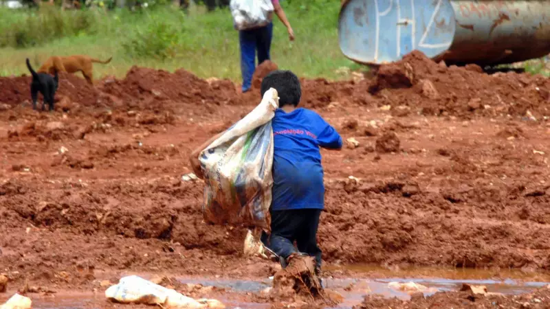 Mais de 6 mil crianças resgatadas do trabalho infantil em dois anos: um avanço na luta pelos direitos da infância