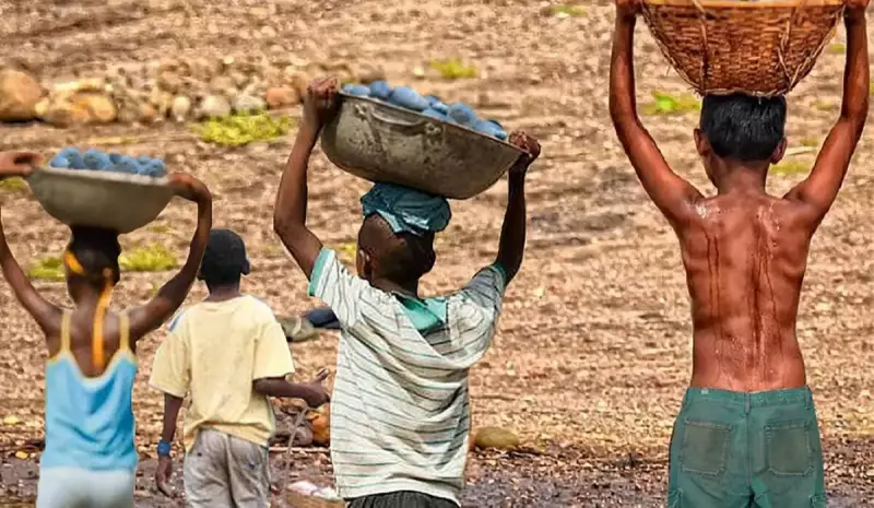 Mais de 6 mil crianças resgatadas do trabalho infantil no Espírito Santo em 2 anos: um alerta social