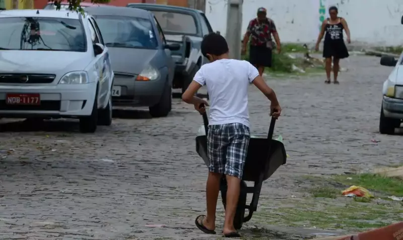 Mais de 6 mil crianças são resgatadas do trabalho infantil no Brasil: um alerta para a sociedade
