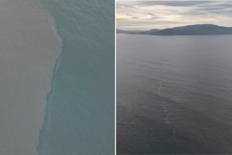 Mancha no mar do litoral de SP é registrada por drone no Dia Mundial dos Oceanos; veja vídeo