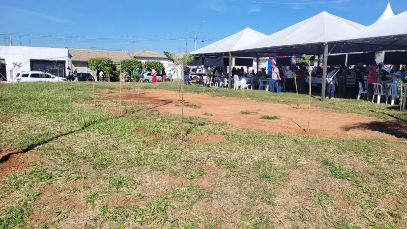 Marília ganha mais verde: ação comunitária planta 400 mudas nativas e frutíferas