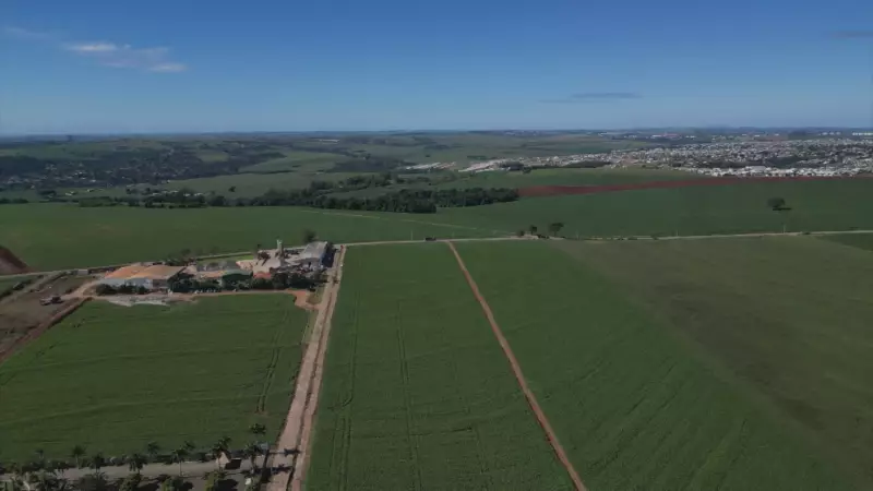 Maringá tem o hectare mais caro do Paraná: preço médio chega a R$ 185 mil | Confira valores em outras cidades