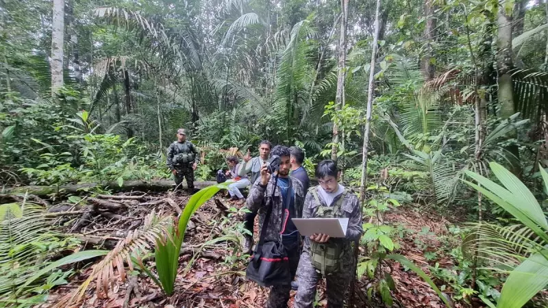 Matemática da Floresta: Algoritmos que Protegem a Amazônia do Desmatamento