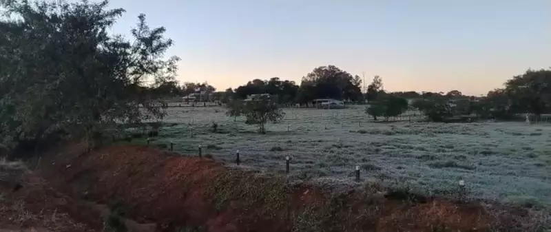 Mato Grosso do Sul enfrenta geada com sensação térmica de 47°C: fenômeno raro e intenso