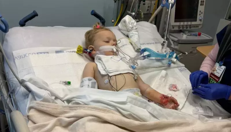 Menina de 2 anos luta pela vida após contrair múltiplas cepas de E. coli em lago nos EUA