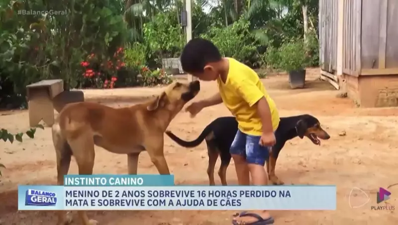 Menino de 2 anos sobrevive na floresta com ajuda de cães: história emocionante de resgate