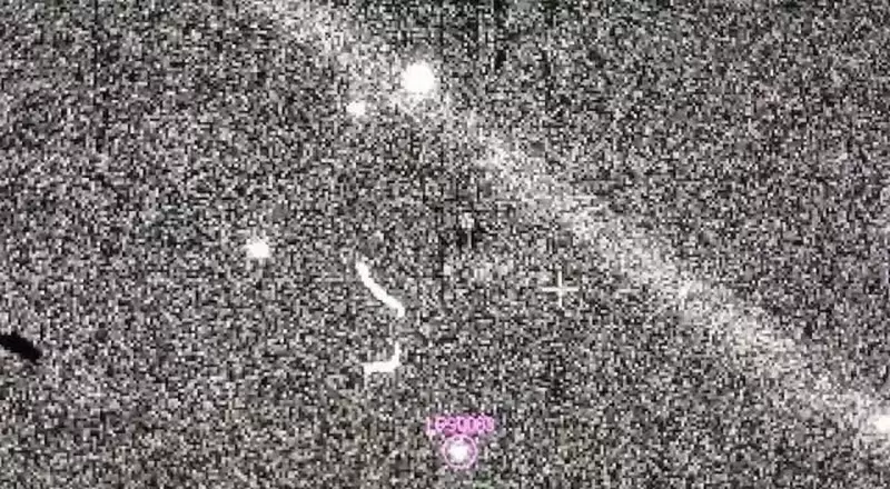 Mineira que descobriu asteroide é convidada para chefiar missão da NASA com gravidade zero