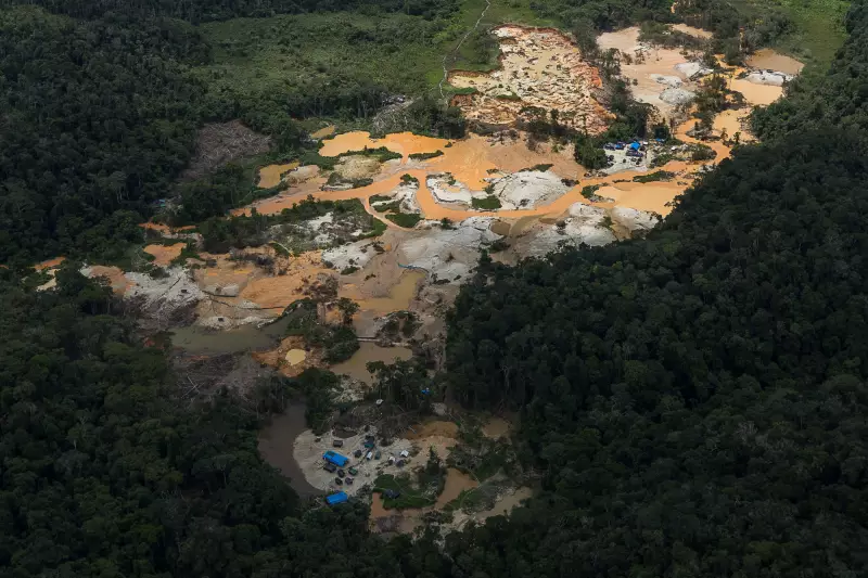 Mineração ilegal na Amazônia: estudo revela impactos devastadores e áreas mais afetadas