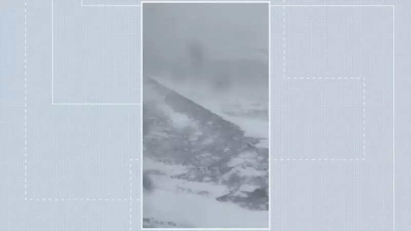 Moradora do DF passa por drama após ficar 24 horas presa em nevasca no Deserto do Atacama