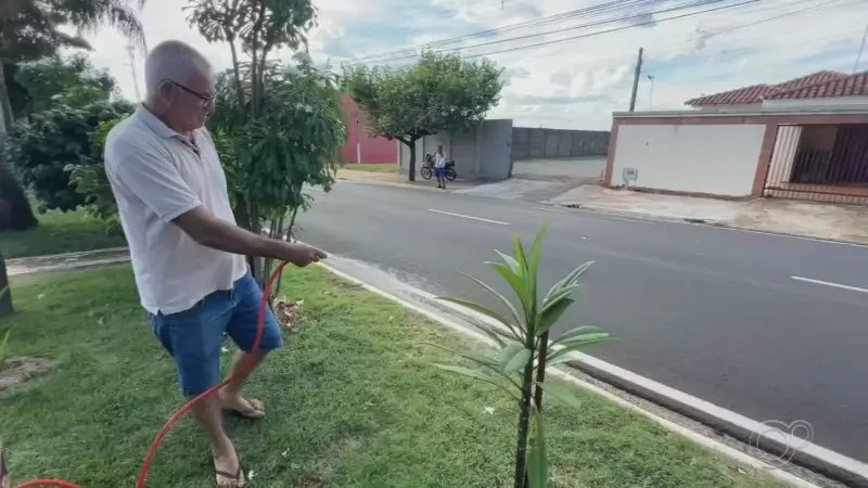 Moradores transformam áreas públicas em oásis verde em Araçatuba: 'Legado que estamos deixando'