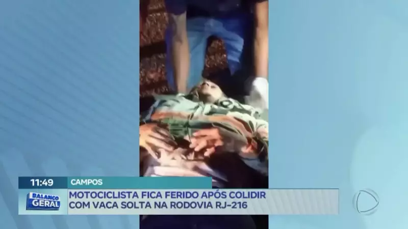 Motociclista se fere gravemente após colidir com vaca solta na RJ-216