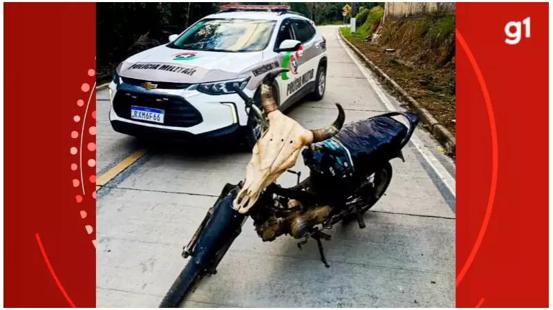 Motoqueiro Fantasma com Capacete de Caveira é Autuado em SC: Veja os Detalhes