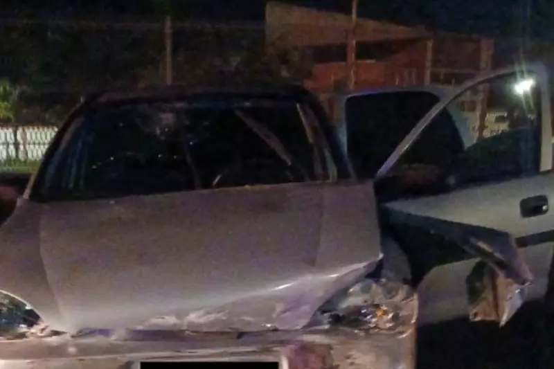 Motorista capota carro ao desviar de cachorro em rodovia de SP e fica gravemente ferido