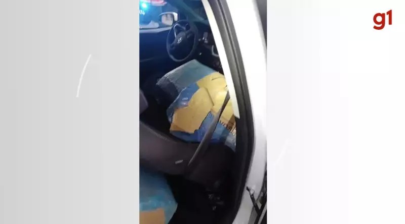 Motorista é preso após tentar fugir com 319 kg de maconha e colidir com viatura da PRF em Palhoça