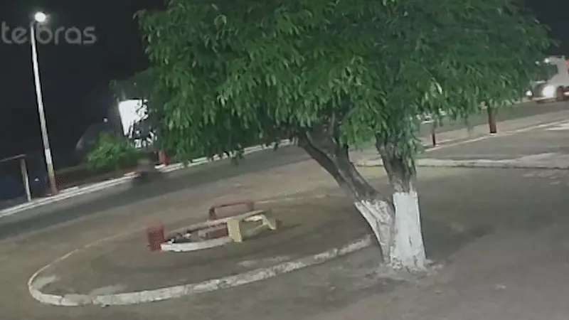 Motorista faz ultrapassagem proibida e causa acidente fatal na BR-230 no Maranhão
