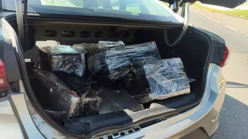 Motorista foge e abandona carro com 160 kg de maconha em SP: veja detalhes