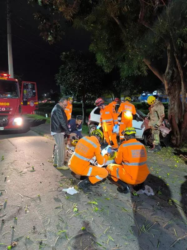 Motorista sofre acidente grave após colidir com árvore na Avenida Brasil, em Juiz de Fora