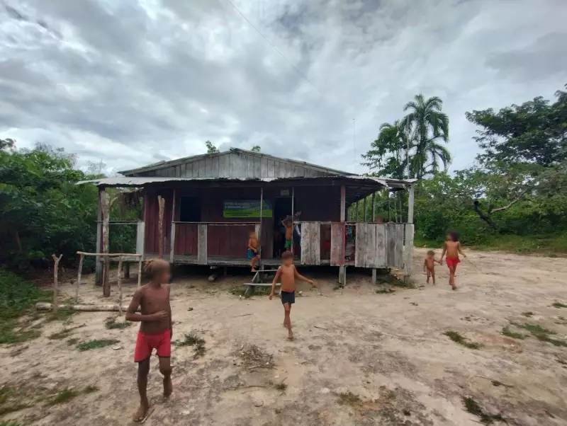 MP cobra ações urgentes da Funai para proteger Yanomami no Amazonas