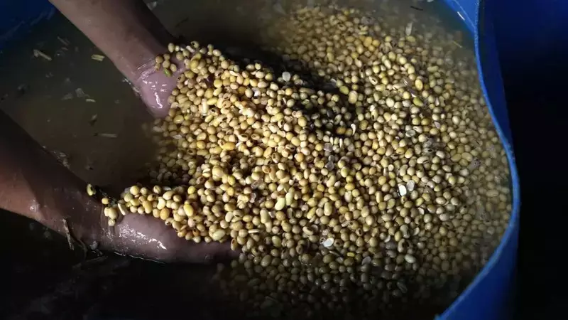 MP de Roraima reforça pedido para condenar acusados de desviar R$ 12 milhões do agronegócio