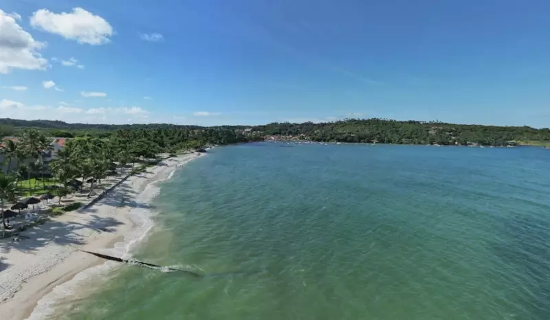 Mulher e cachorro desaparecidos no mar: buscas chegam ao terceiro dia em Pernambuco