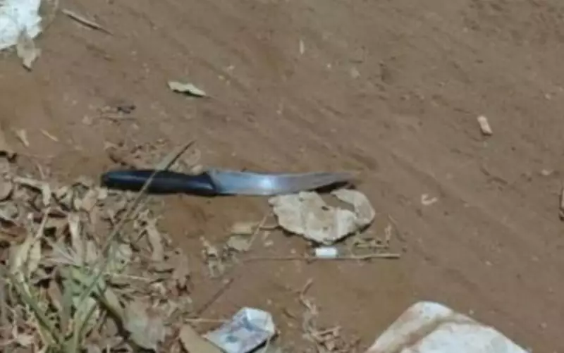 Mulher é presa após matar homem que teria roubado seu cachorro em Goiás