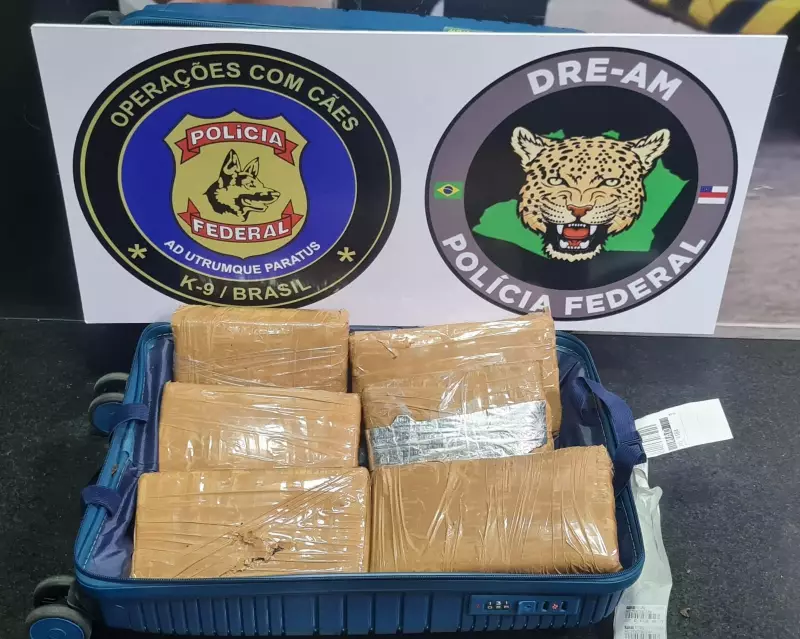 Mulher é presa com quase 8 kg de cocaína no Aeroporto Internacional de Manaus | G1 Amazonas
