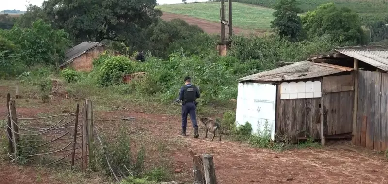 Mulher é presa no Paraná suspeita de sequestrar crianças: entenda o caso