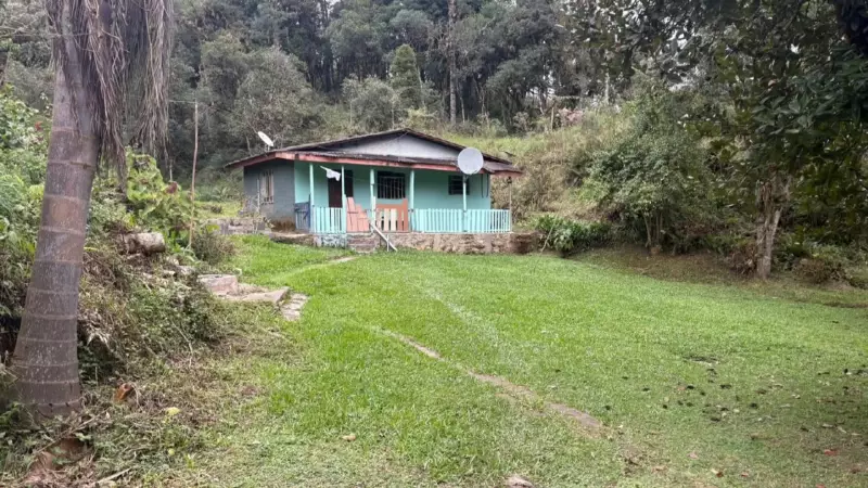 Mulher relata tortura pelo companheiro no Paraná: 'Me bateu com machado e cortou meu cabelo'
