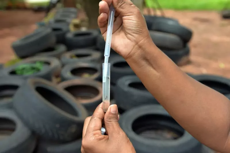 Mutirão contra a dengue percorre o Jardim Hortência neste sábado (14) em Limeira