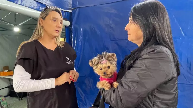 Mutirão de castração gratuito para cães e gatos acontece neste fim de semana em Limeira