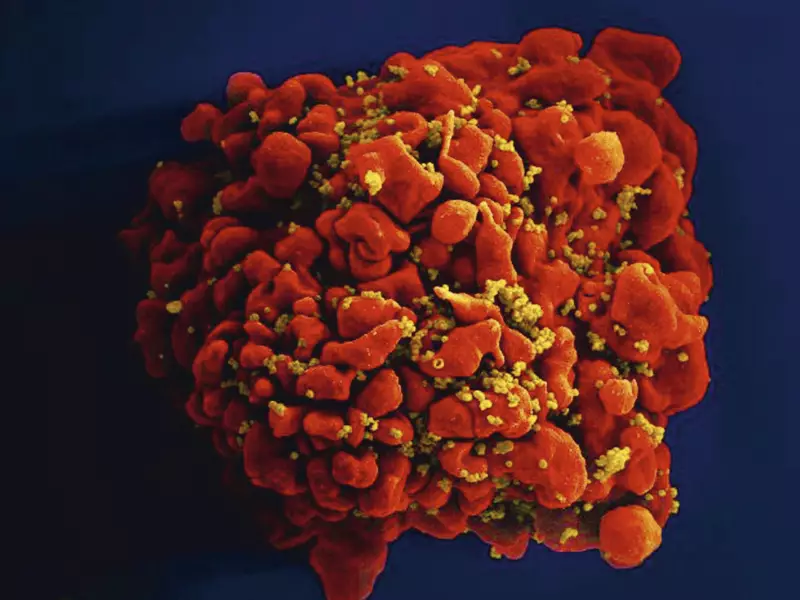 Nanopartículas de mRNA: O Futuro da Cura do HIV?