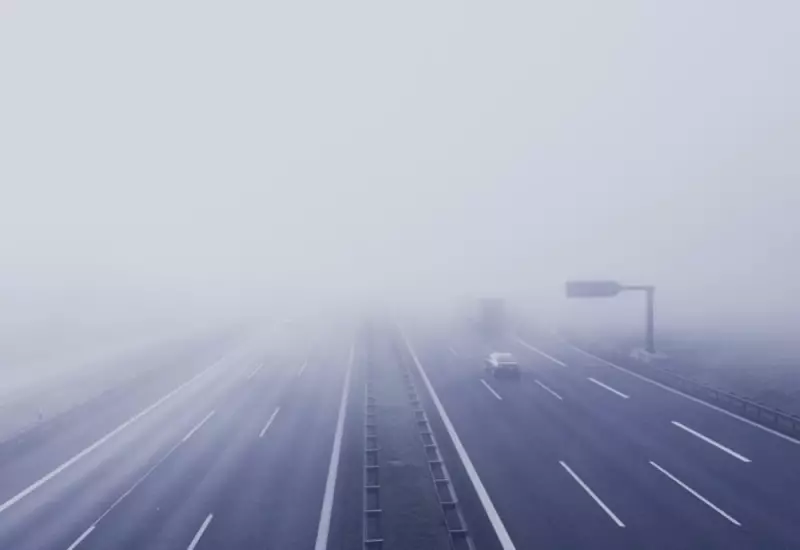 Neblina no trânsito: dicas essenciais para evitar acidentes e dirigir com segurança
