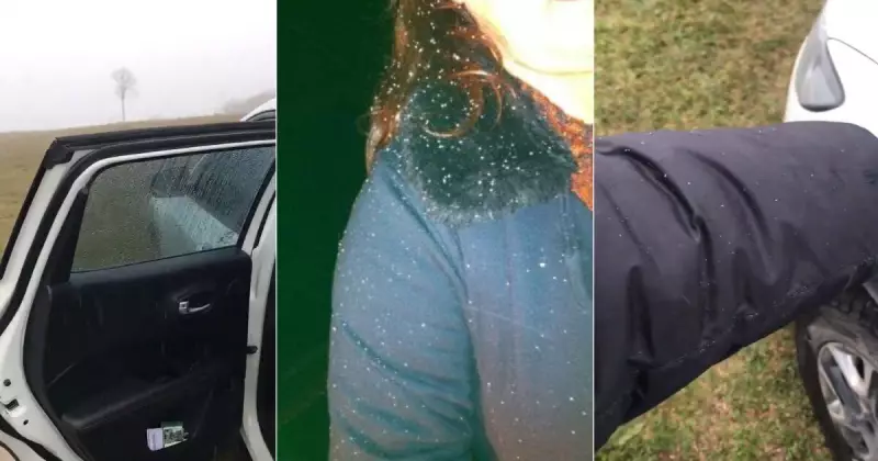 Neve em Joinville: Relembre os momentos raros em que a maior cidade de SC congelou