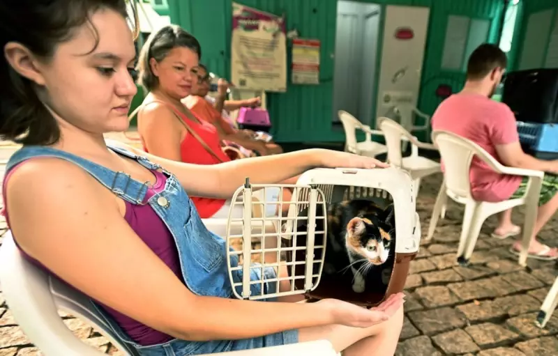 Nova Europa em Campinas ganha consultório veterinário móvel a partir de segunda-feira