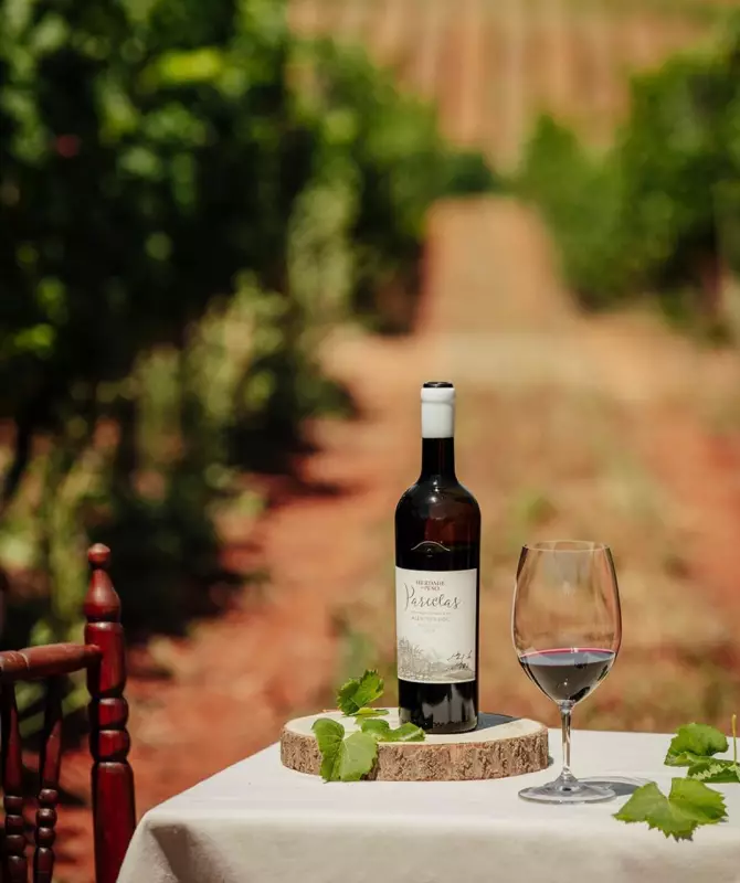 Nova Onda de Vinhos Portugueses Chega ao Brasil: Descubra os Destaques